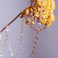 Gold Chain